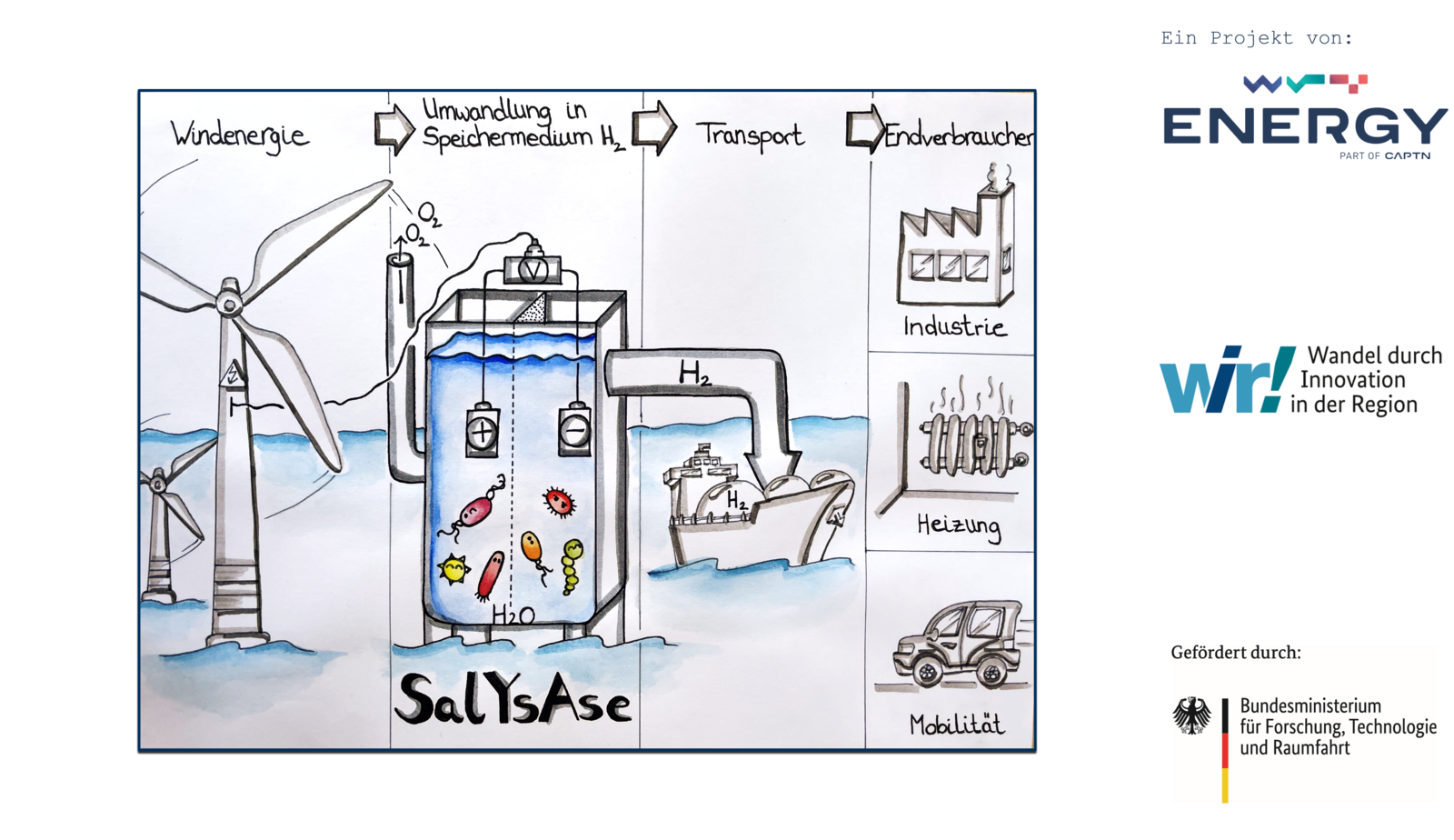 Graphical Abstract SalYsAse