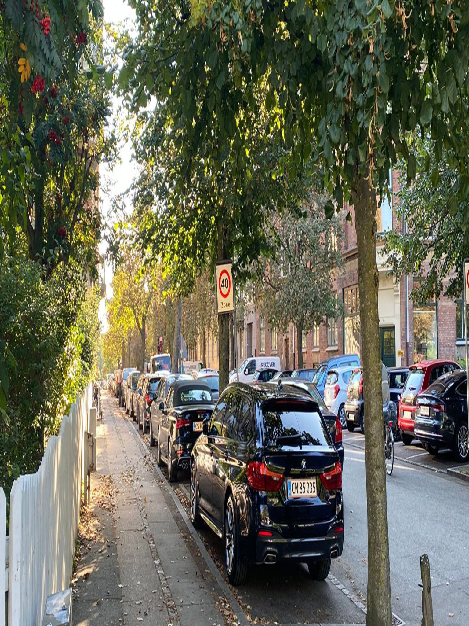 Die Straße runter zum Frederiksberg Have, dem größten Park der Kommune. (Foto: privat)