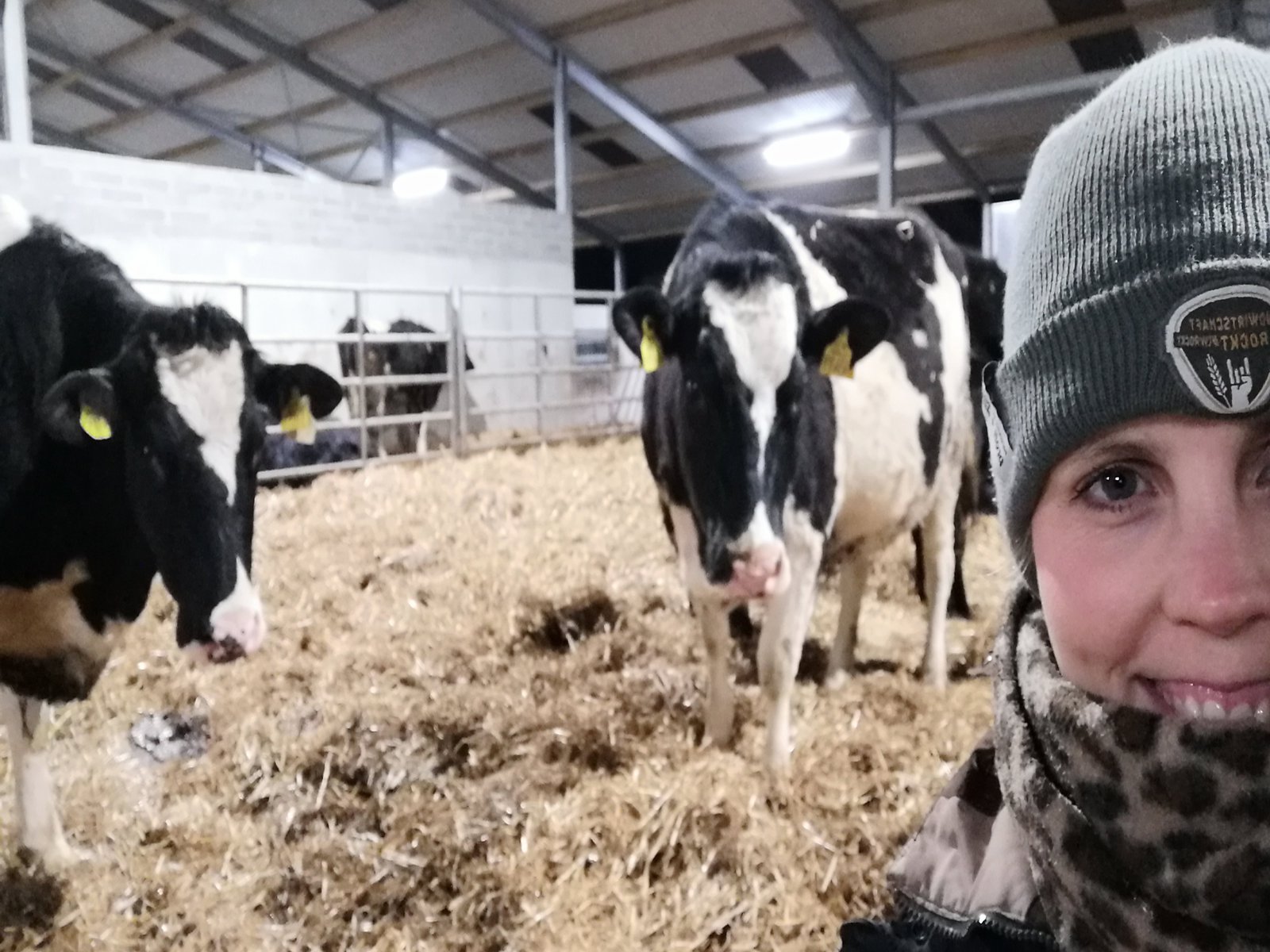 Eine Frau im Kuhstall