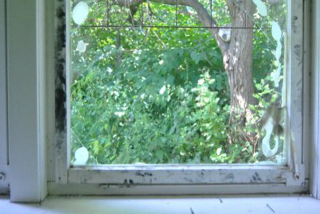 Durch einen zukünftigen Fensterrahmen, lässt sich ein Blick auf einen Baum erhaschen.