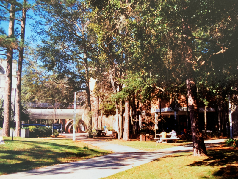 University of Florida,