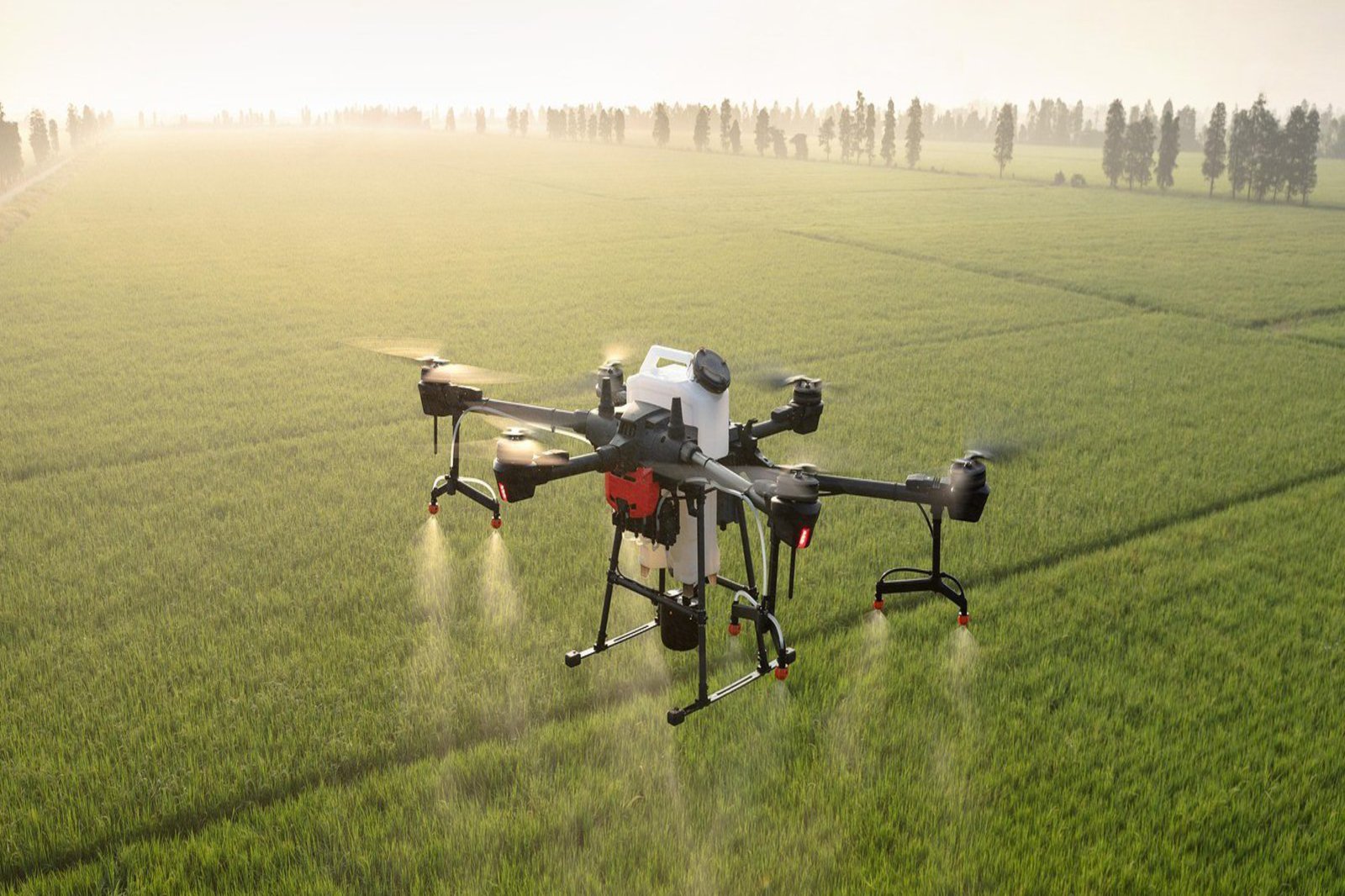 Drohne über einem Feld.