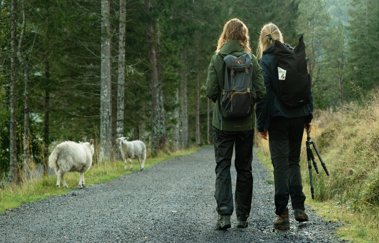 zwei Frauen beim Wandern