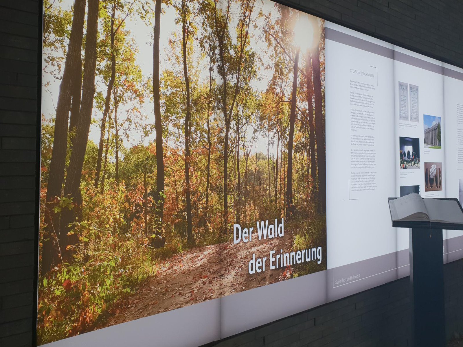 Eine sehr breite digitale Informationswand.