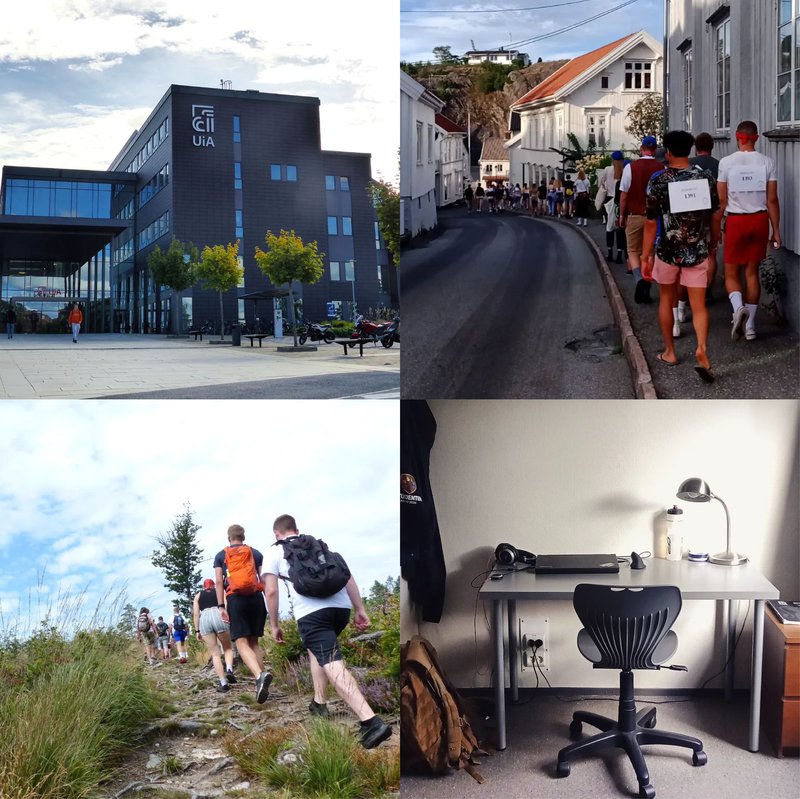 Collage September 2022