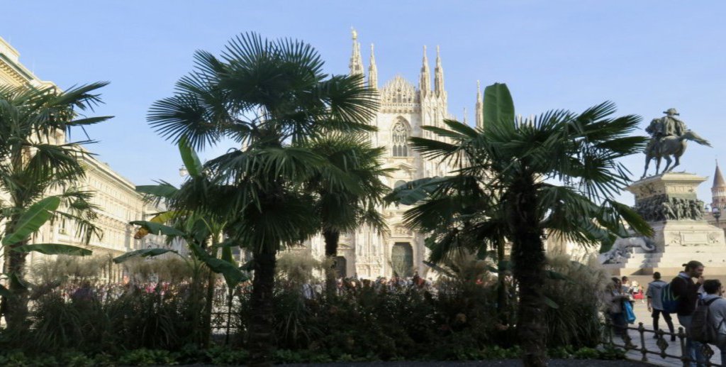 Palmen und Gebüsche erschweren die Sicht auf eine große Sandstein Kathedrale.