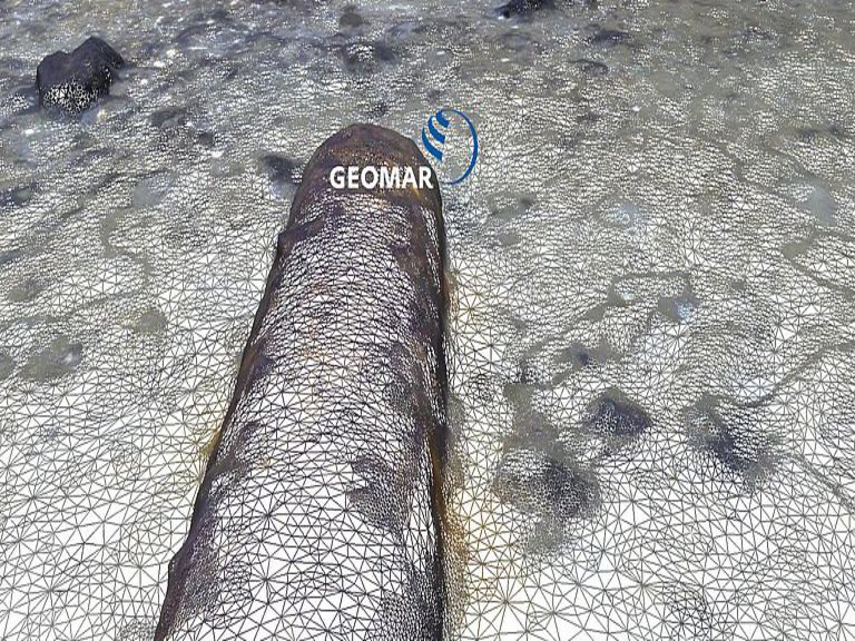 Digitales 3D Modell des Meeresbodens