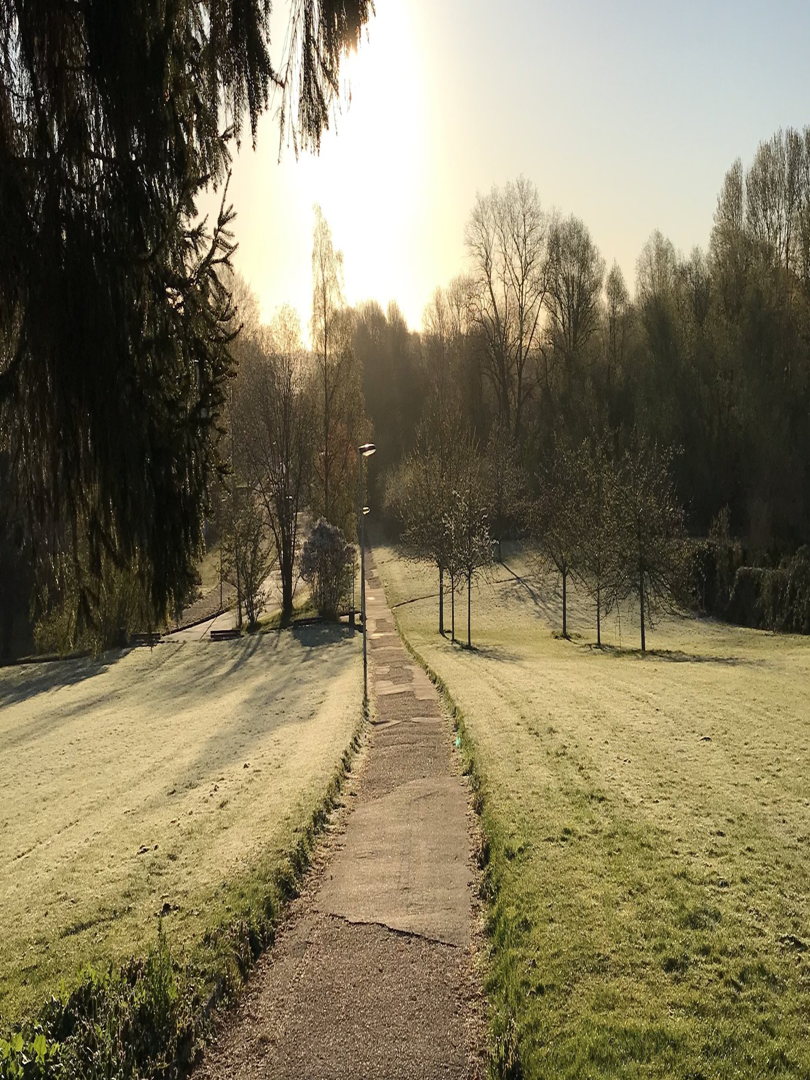 ein Spazierweg im Grünen