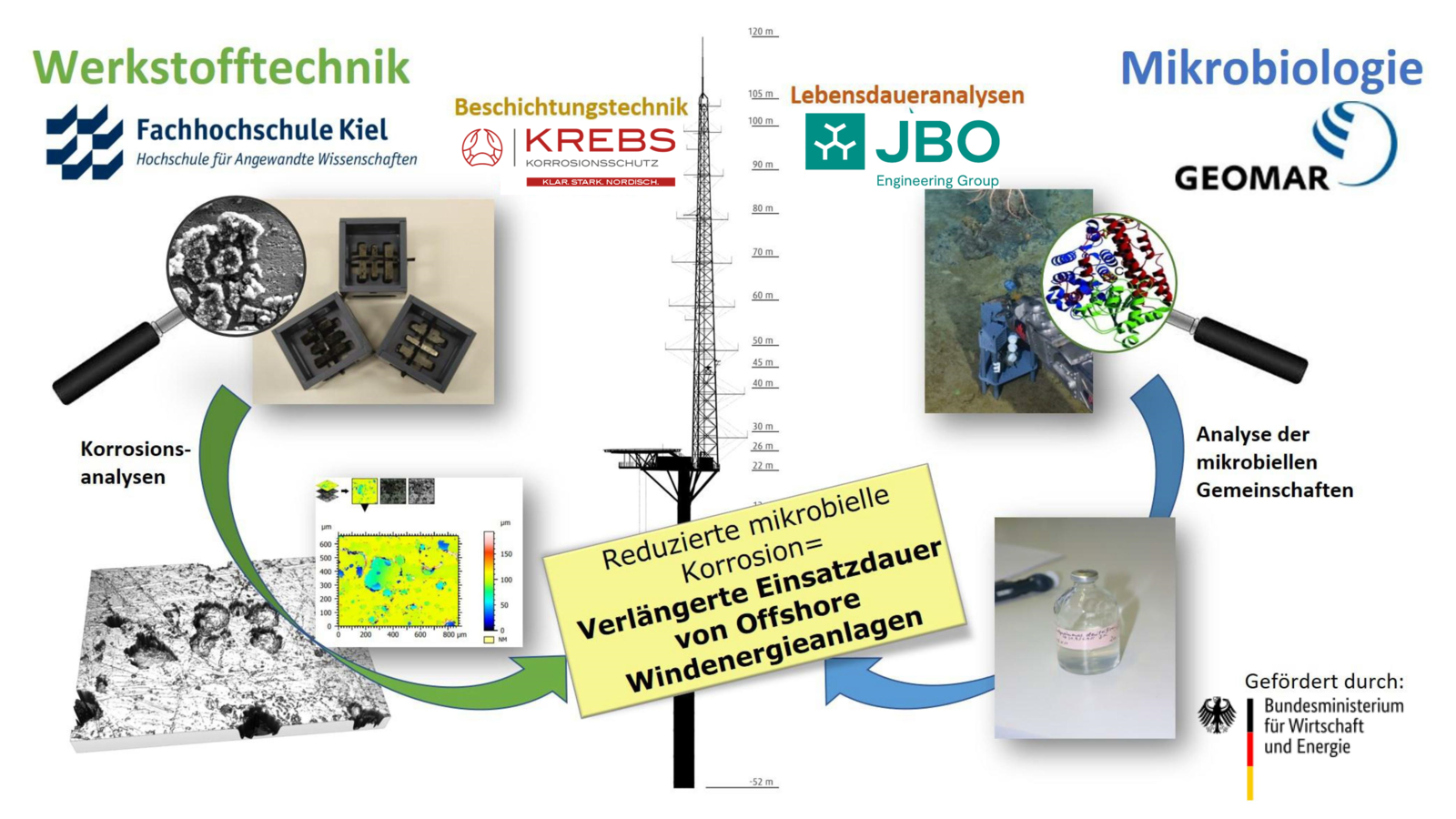 Graphische Darstellung der Zusammenarbeit der Projektpartner im Projekt MiCorFe