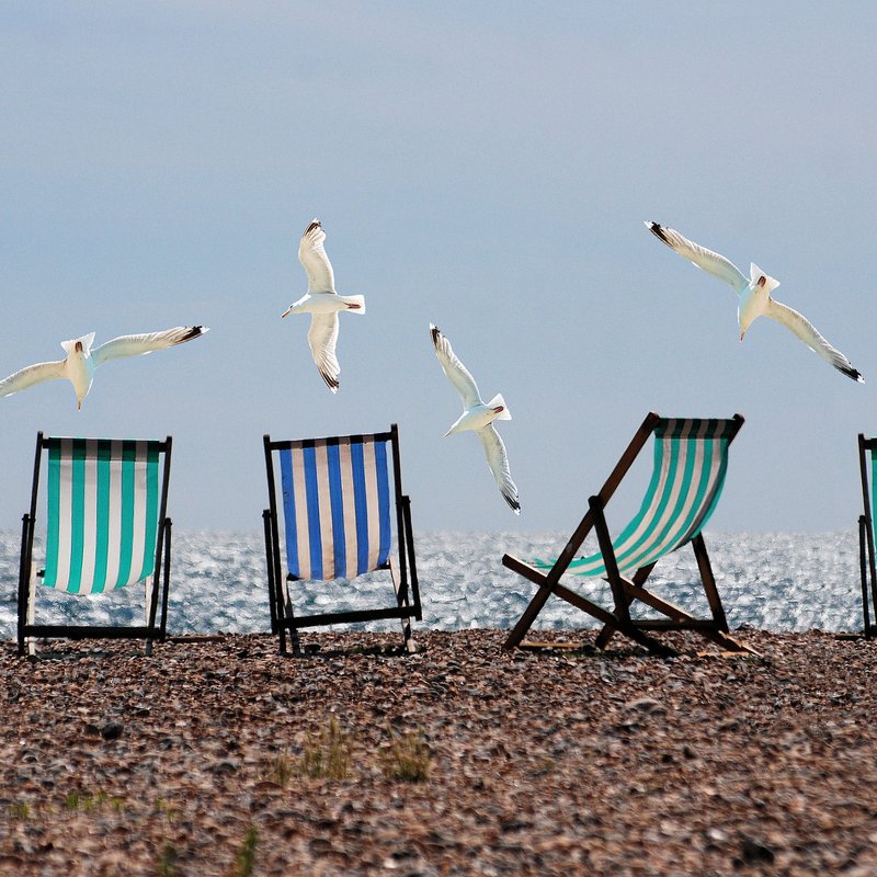 Am Laboer Strand trifft am 6. August kultureller Austausch auf Möwengeschrei. (Foto: Pixabay)