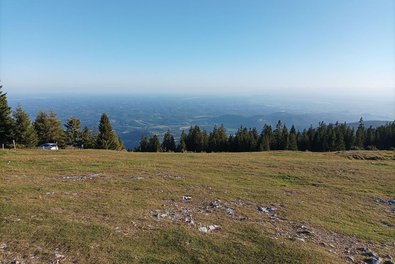 Aussicht vom Schöckl über grüne Wiesen und die Baumgrenze