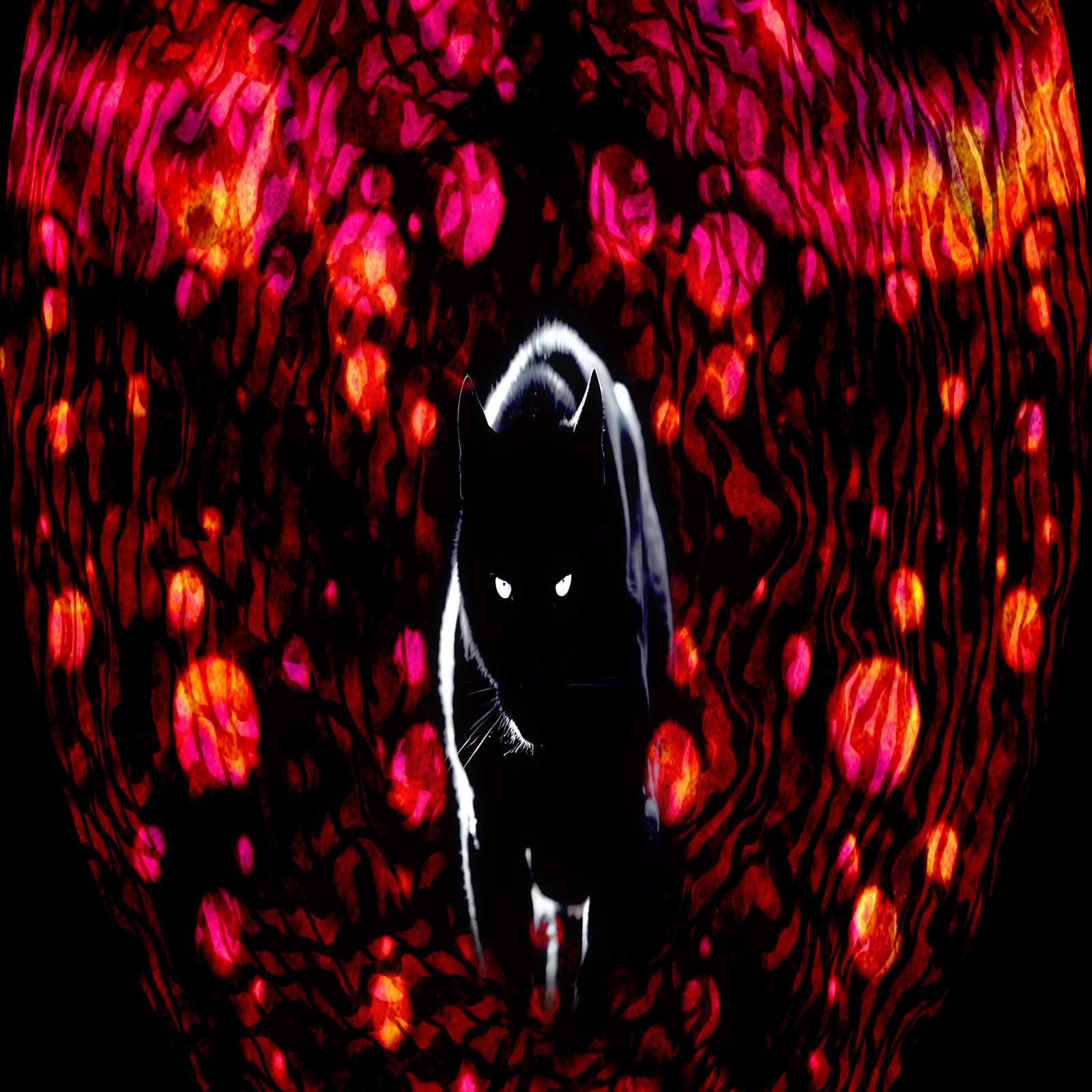 Space and Time