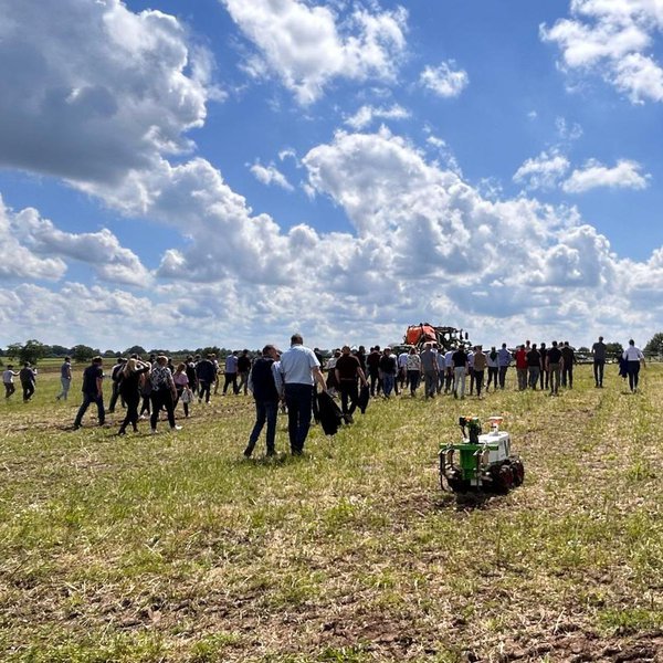 Menschen auf einem Feld