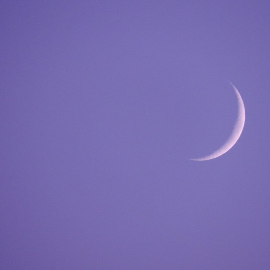 Ein sichelförmiger Halbmond an einem fliederfarbenen Morgenhimmel.