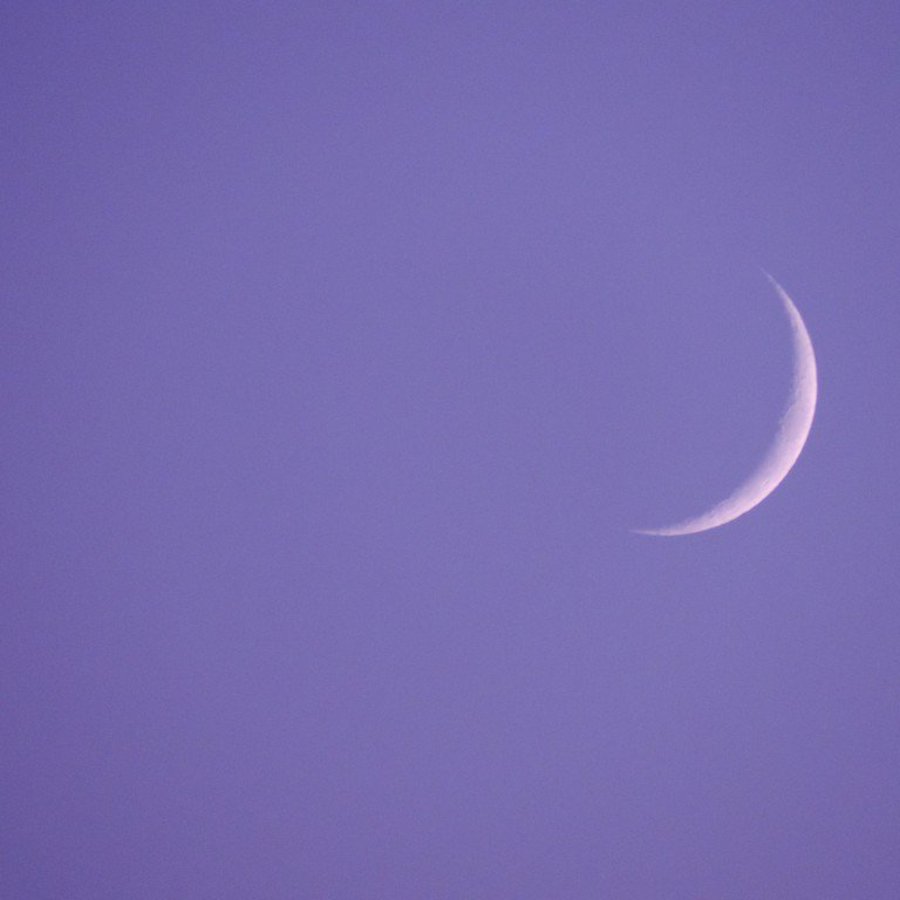 Ein sichelförmiger Halbmond an einem fliederfarbenen Morgenhimmel.
