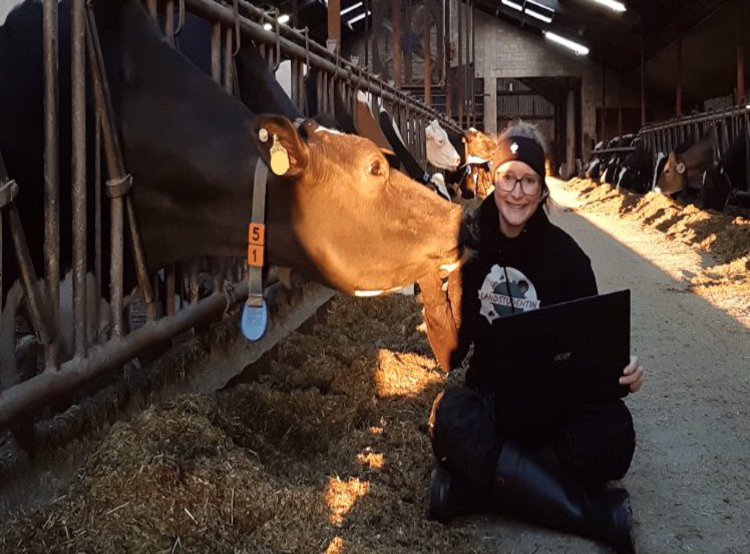 Eine Frau im Kuhstall.