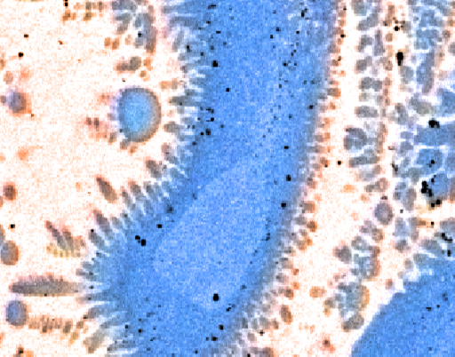 dekoratives Bild, Schliff mit Elementverteilung