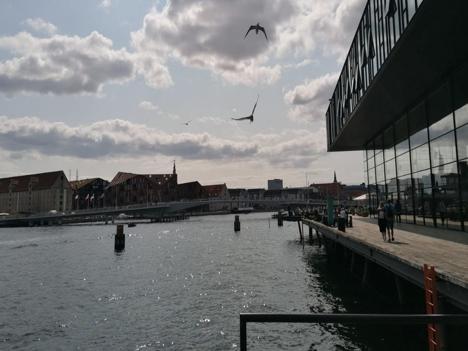 Die königliche Bibliothek "den sorte diamant". Wenn die Redaktion zu eng wird, ist die nicht die schlechteste Alternative. (Foto: privat)