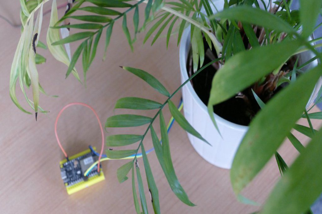 Blumentopf mit Mikro-Controller