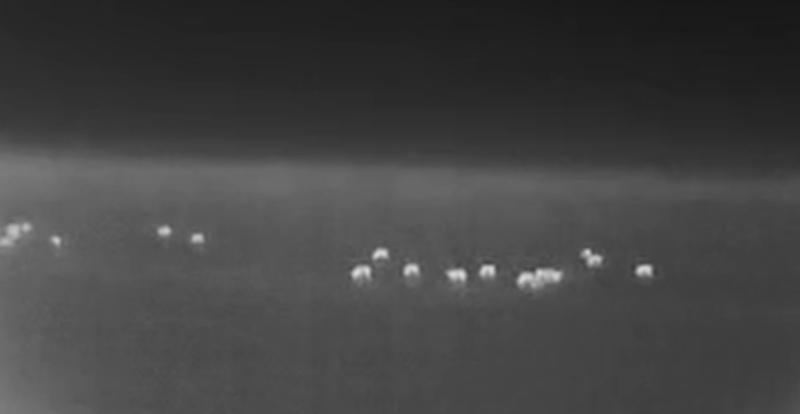 Thermalbild mit Sensor auf Drohne