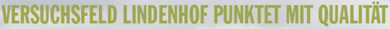 Die Grafik zeigt den Schriftzug "Versuchsfeld Lindenhof punktet mit Qualität.