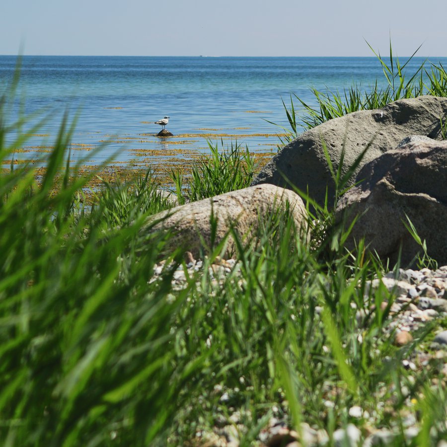 Fehmarn