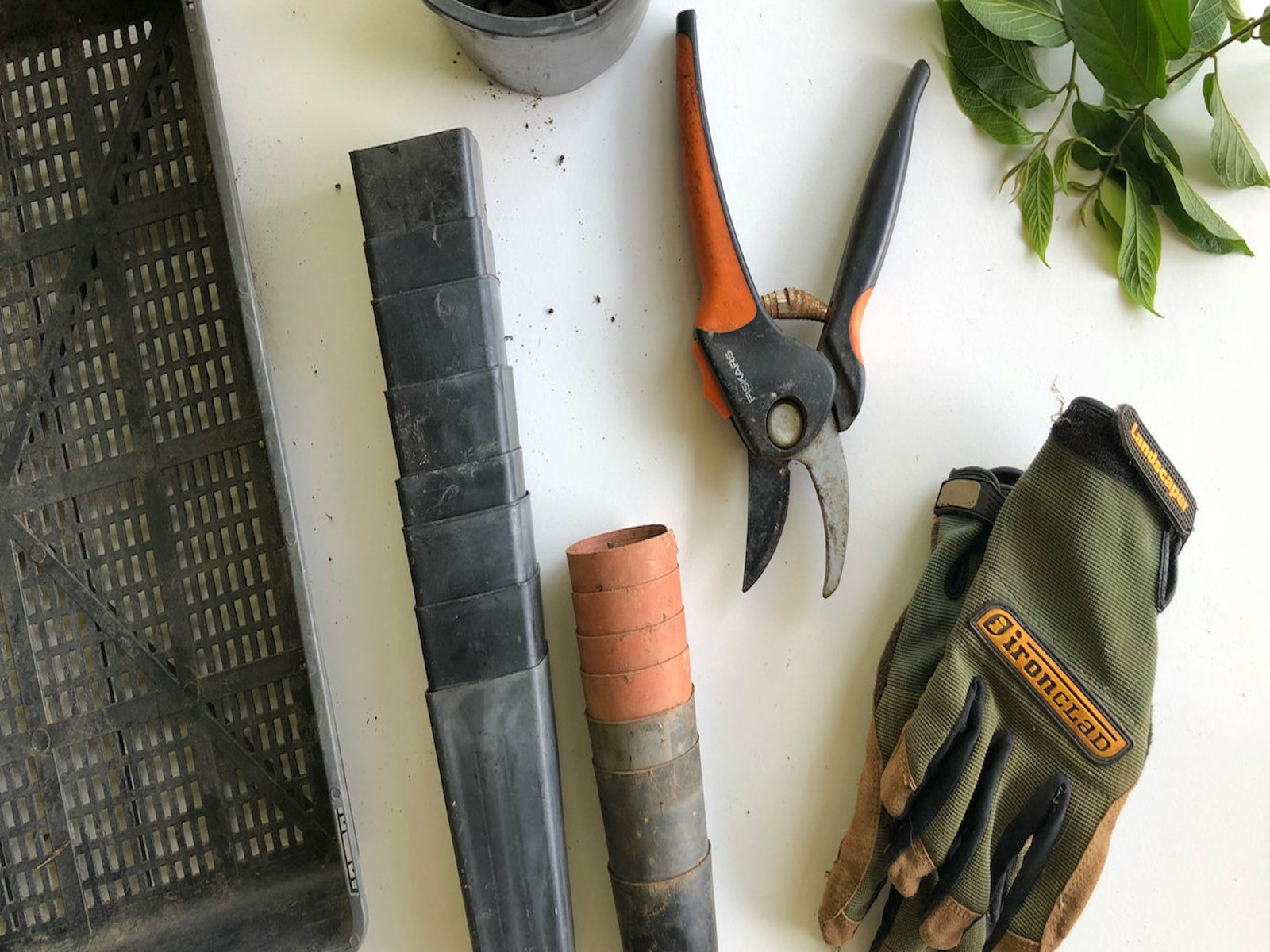 Ein weisser Tisch auf dem unterschiedliche Utensilien liegen, um Stecklinge zu pflanzen.