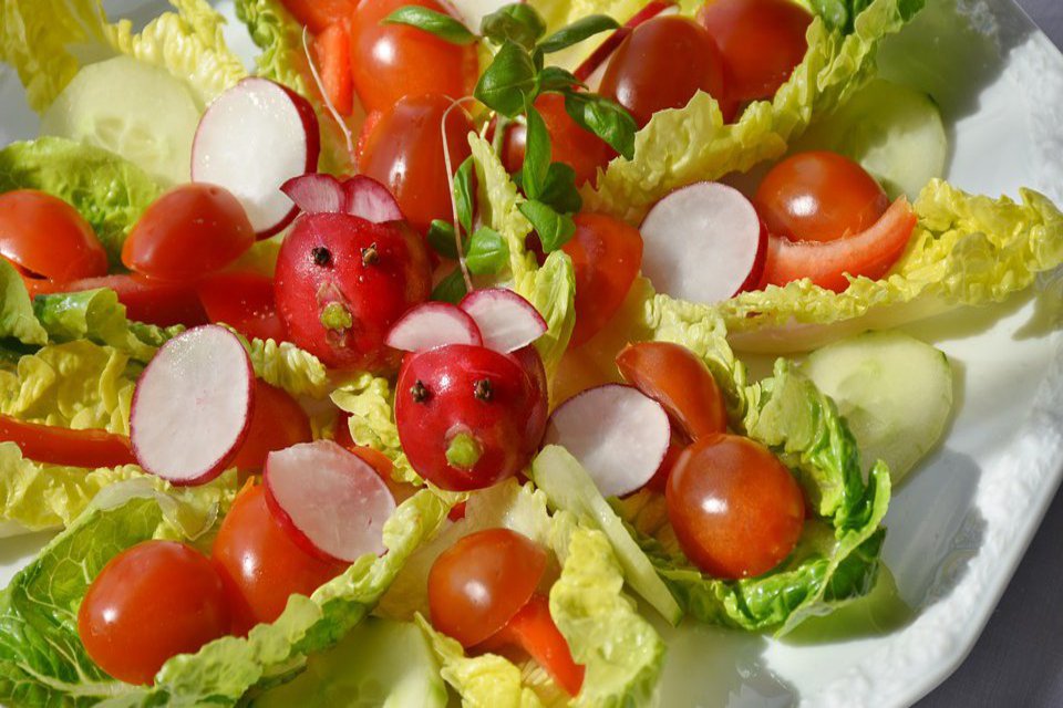 Häppchen bestehend aus Römersalatblättern, agerichtet mit Tomaten und Radieschen.