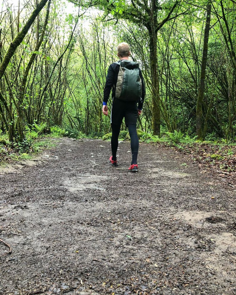 Tim spaziert durch einen beeindruckenden Wald