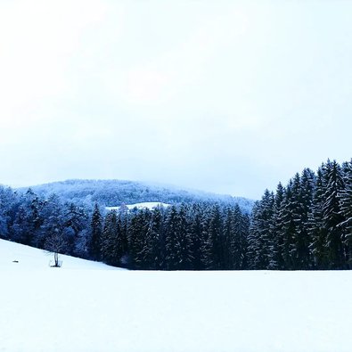 Eine dichte Schneedecke auf den Bergen