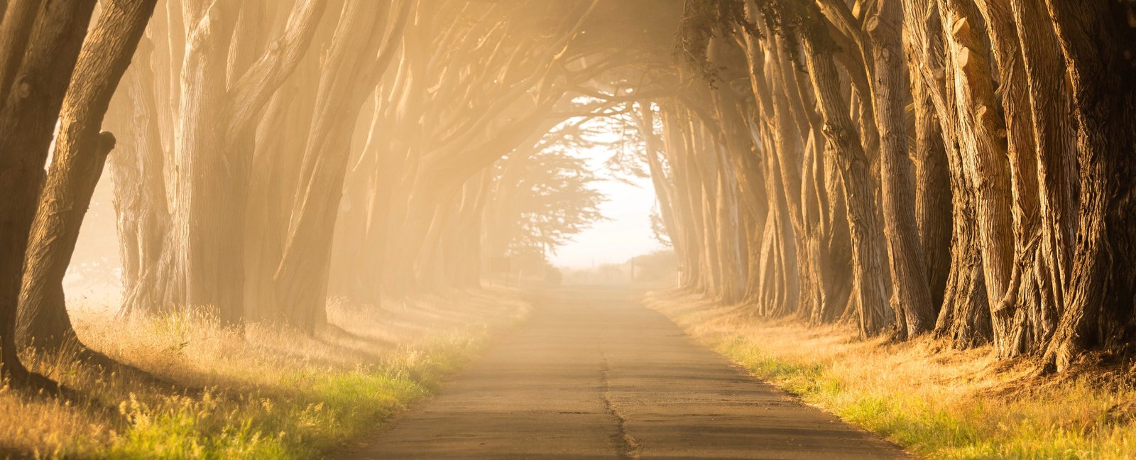 Minor International Marneting and PR