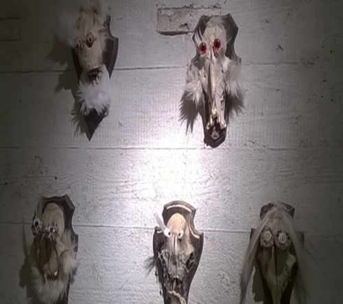 An einer weißen Wand hängen selbstgemachte Jagdtrophäen.