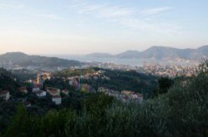 Von einem Feld aus hat man Überblick über das ganze Dorf.