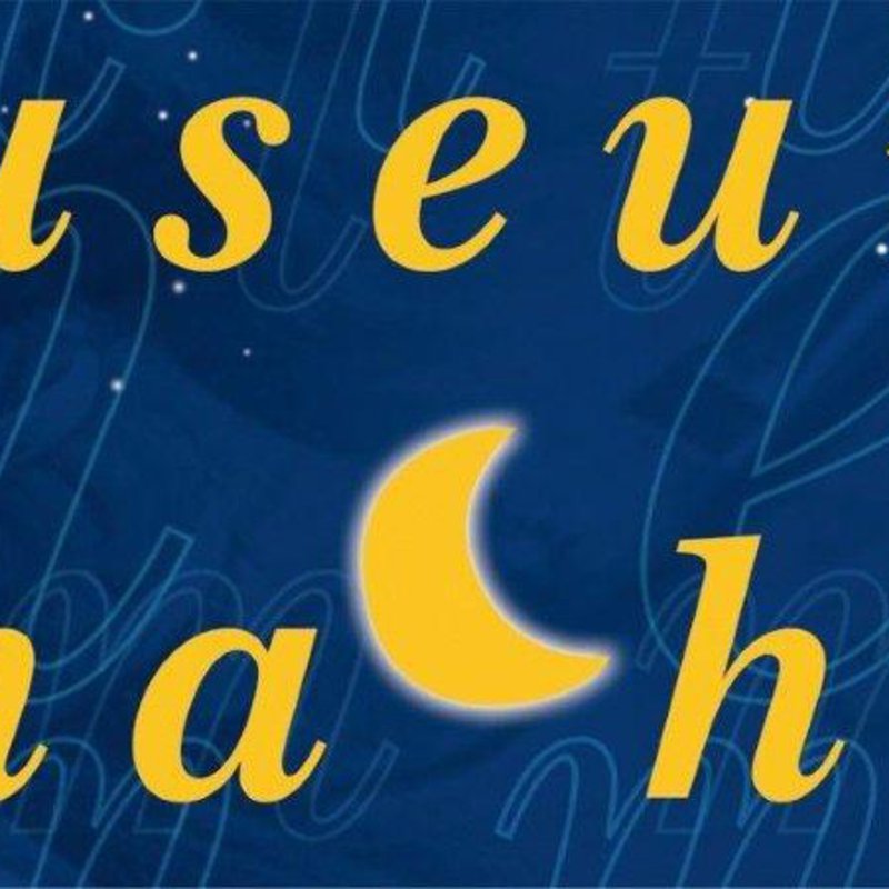 Logo Museumsnacht