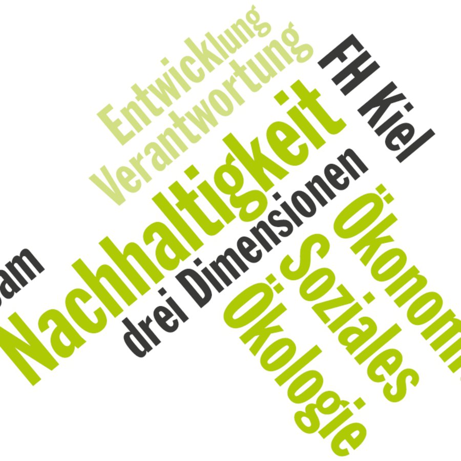 Ein Info-Flyer des "Team drei Dimensionen", der FH Kiel.