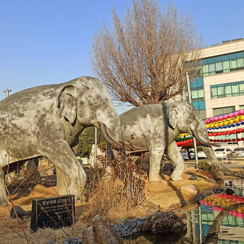 Elefanten auf dem Campus