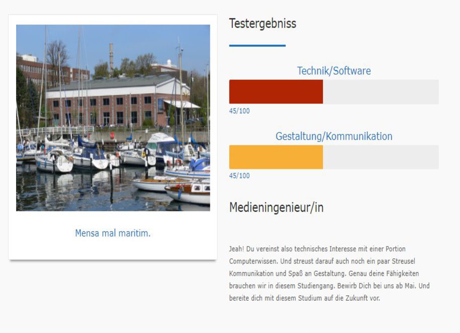 Die Grafik zeigt das Ergebnis eines Test mit dem Resultat "Medieningenieur"