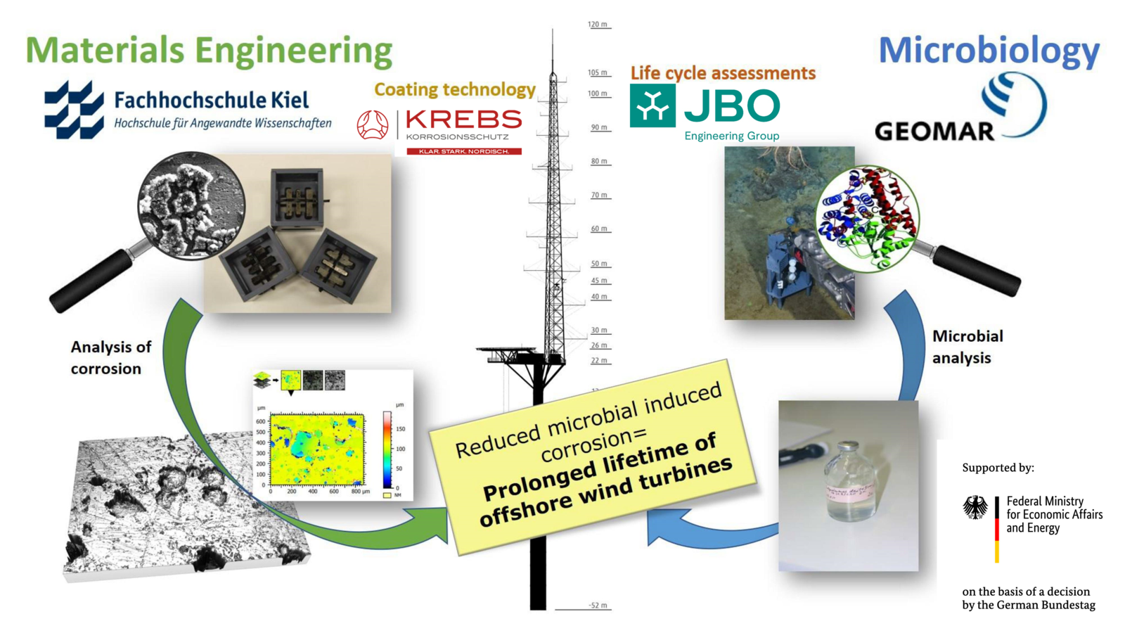 Graphical abstract MiCorFe