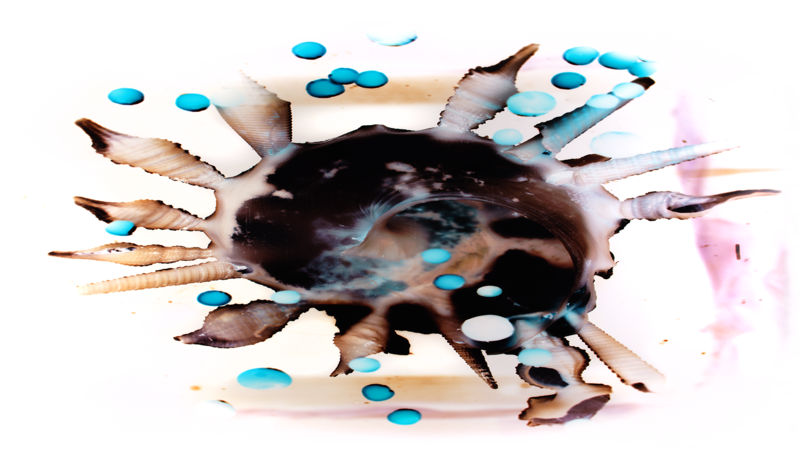 Motiv der Einladungskarte der Ausstellung "Xenophora" von Till Lichtenberger