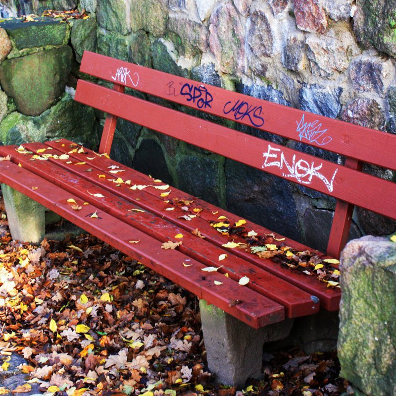 Eine rote von Laub umringte Bank.