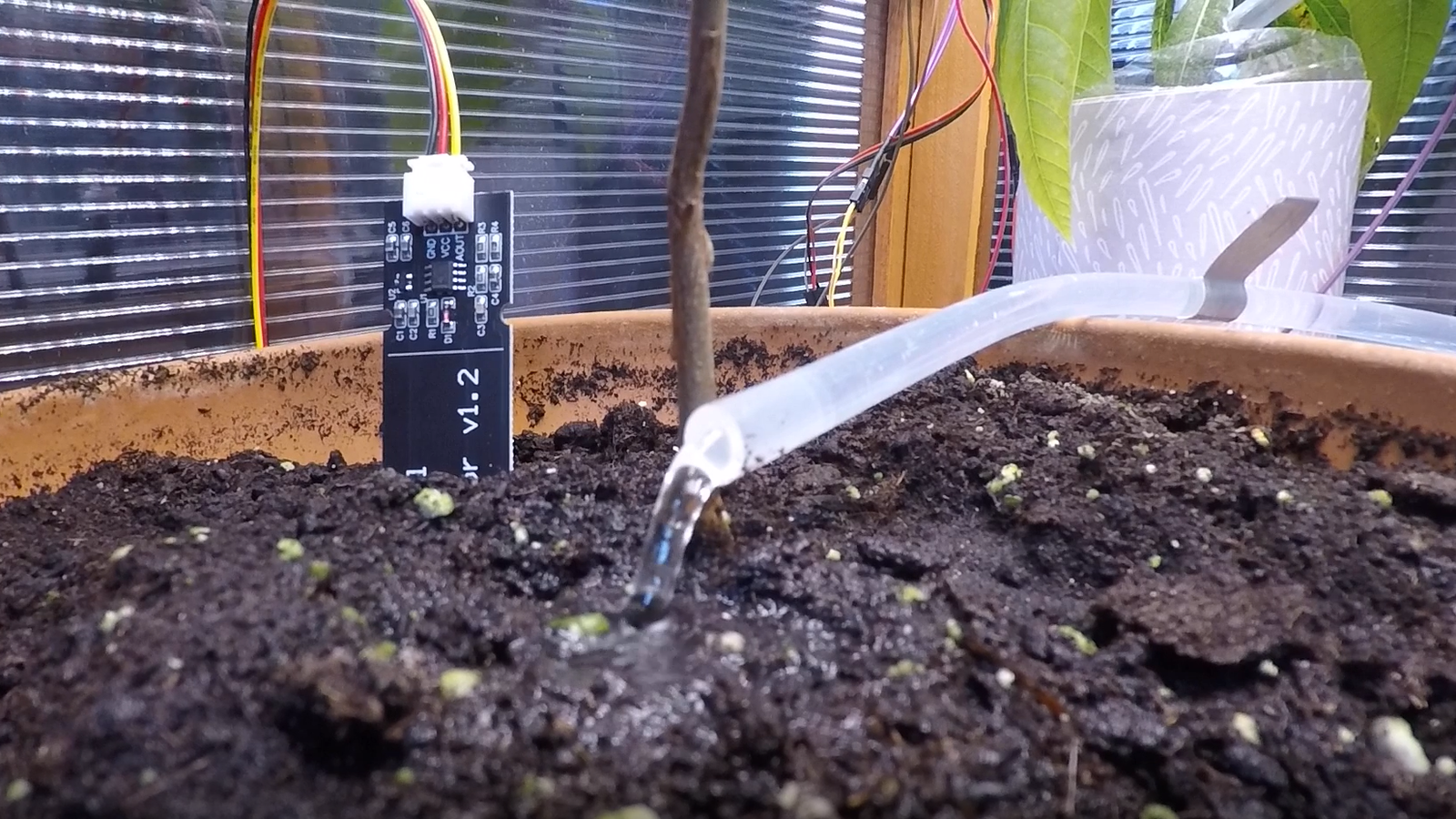 Blick in ein autonomes Gewächshaus