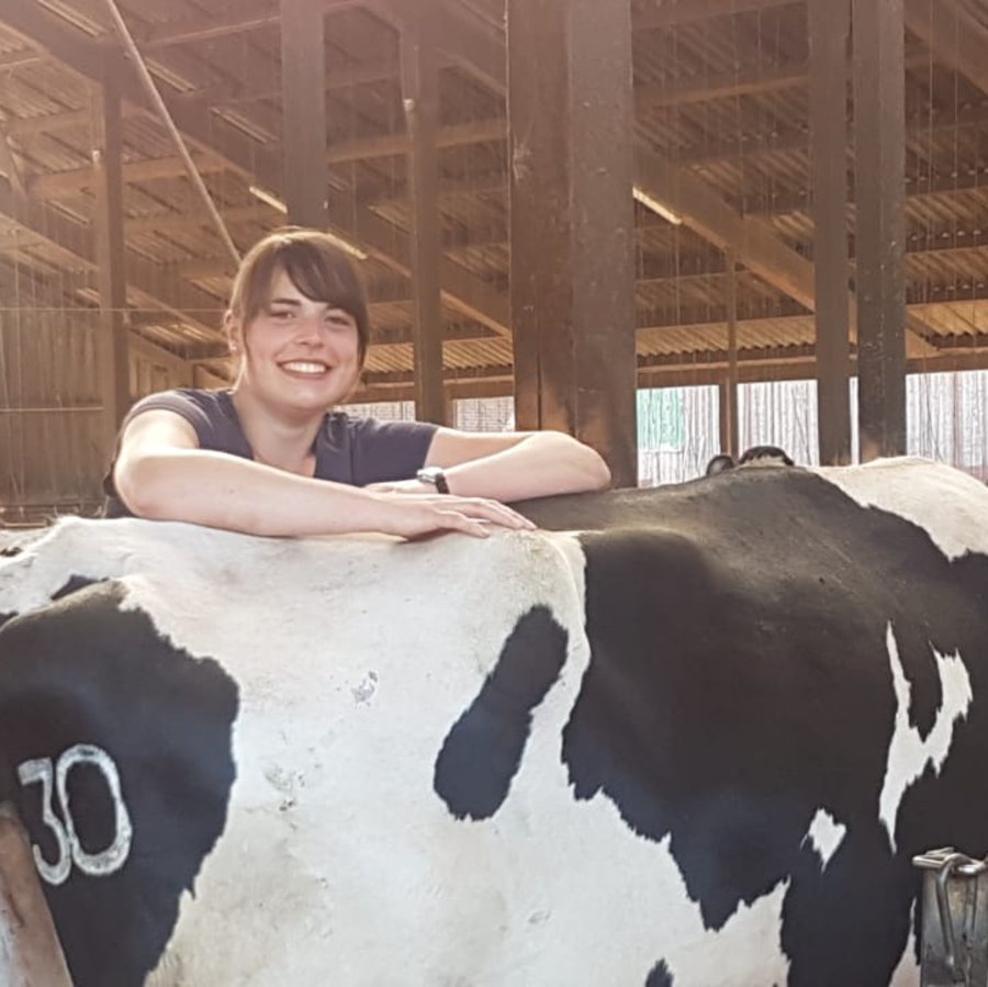 Susanne Dede mit Kühen Susanne Dede mit Kühen