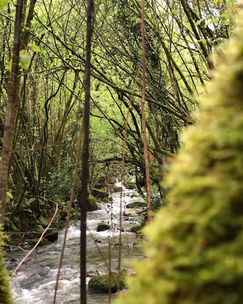 Bachlauf in Kantabrien