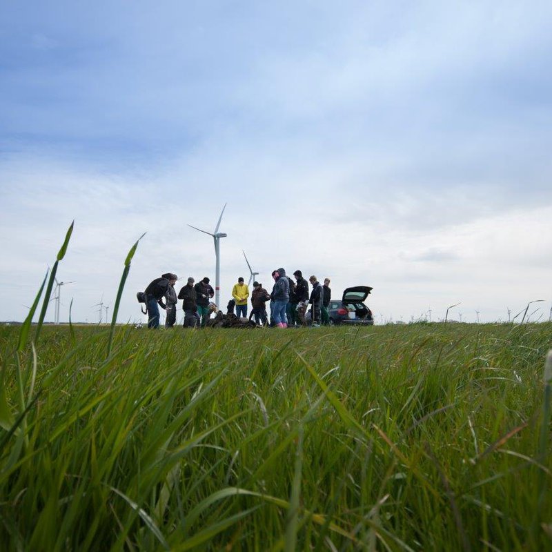 Menschen auf einem Feld mit Windkraftanlagen