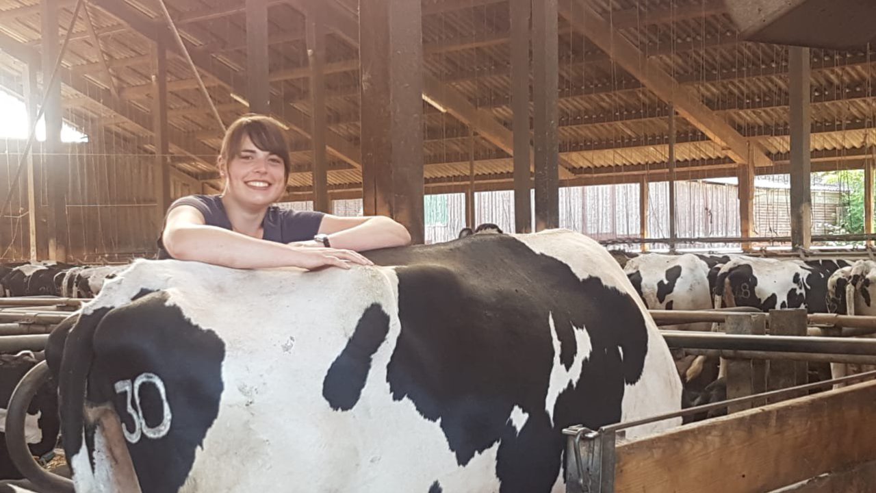 Eine Frau steht in einem Kuhstall, lehnt sich an eine Kuh und lächelt freundlich in die Kamera.