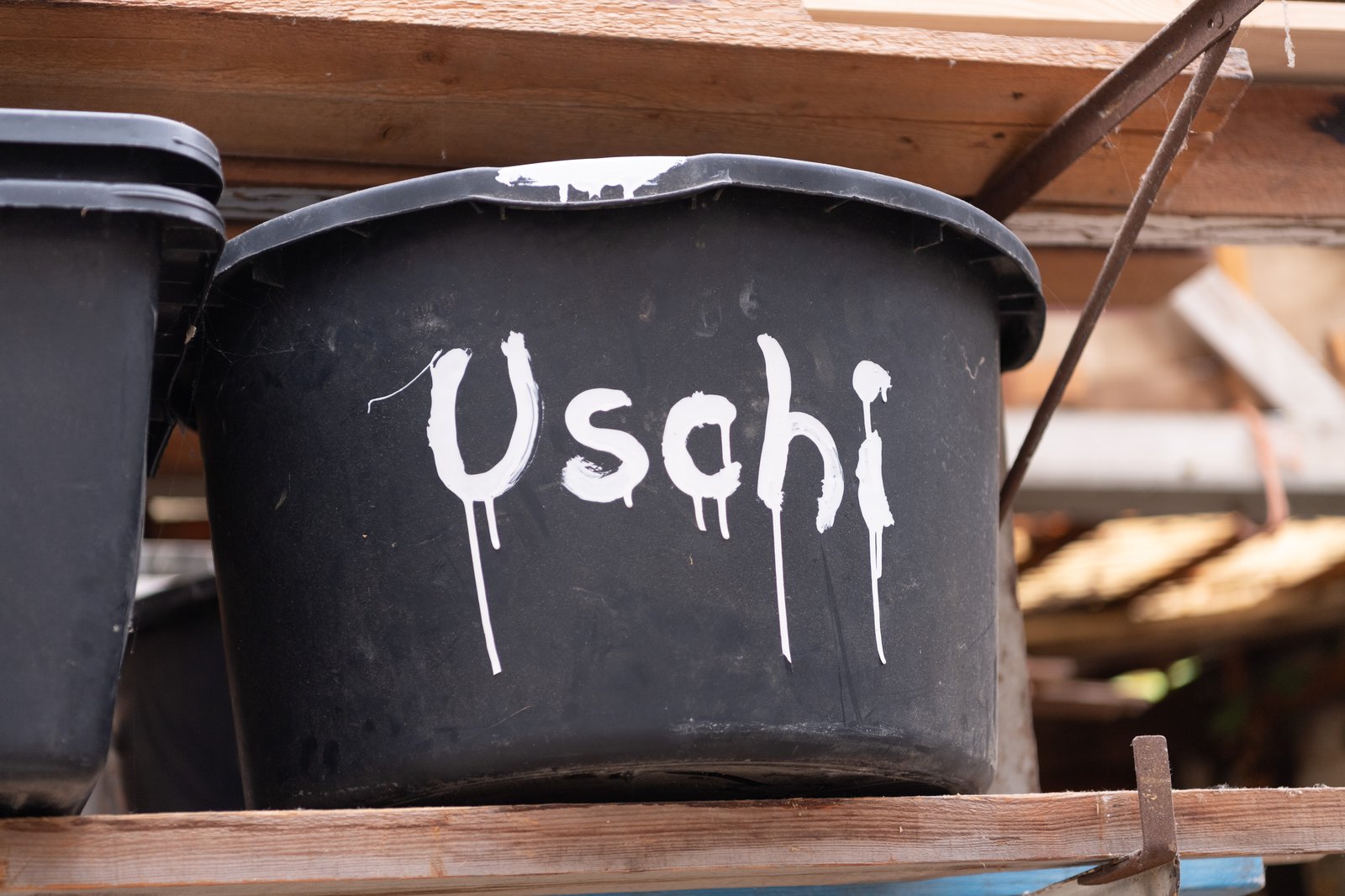 Materialien der Künstlerin Uschi Koch