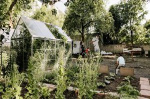 Die gesamte Gartenanlage ist schön grün und wurde gut gepflegt.