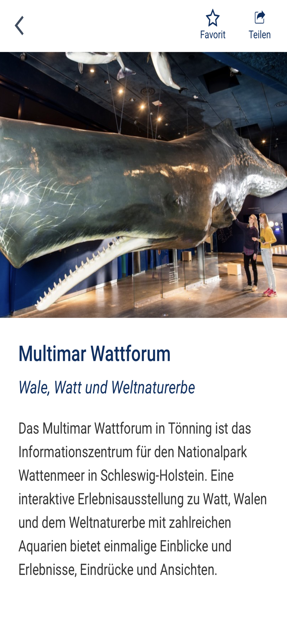 Zu allen Häusern findet sich eine kurze Beschreibung des Angebots. Foto: Screenshot