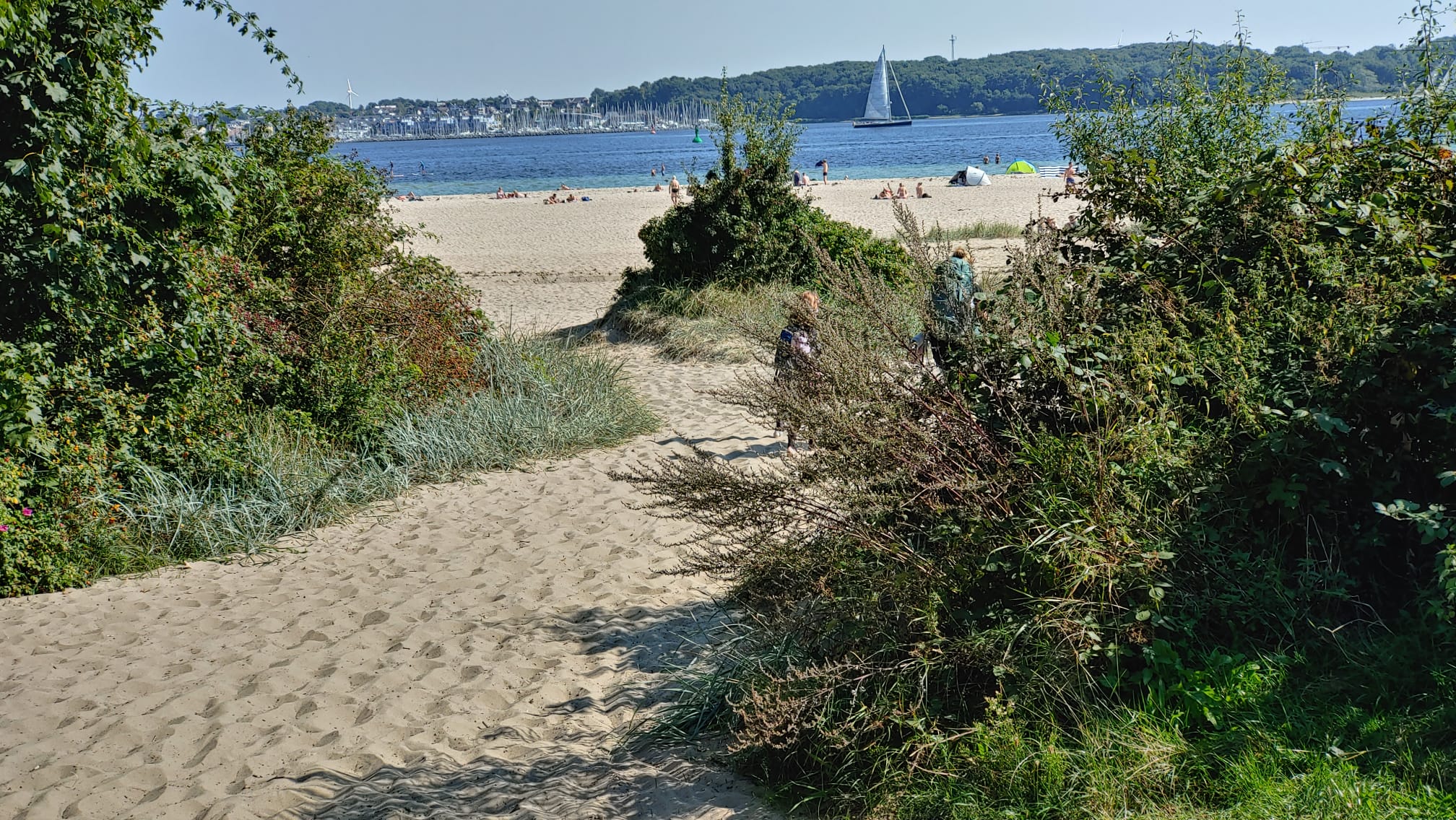 Blick über den Falckensteiner Strand auf das Meer