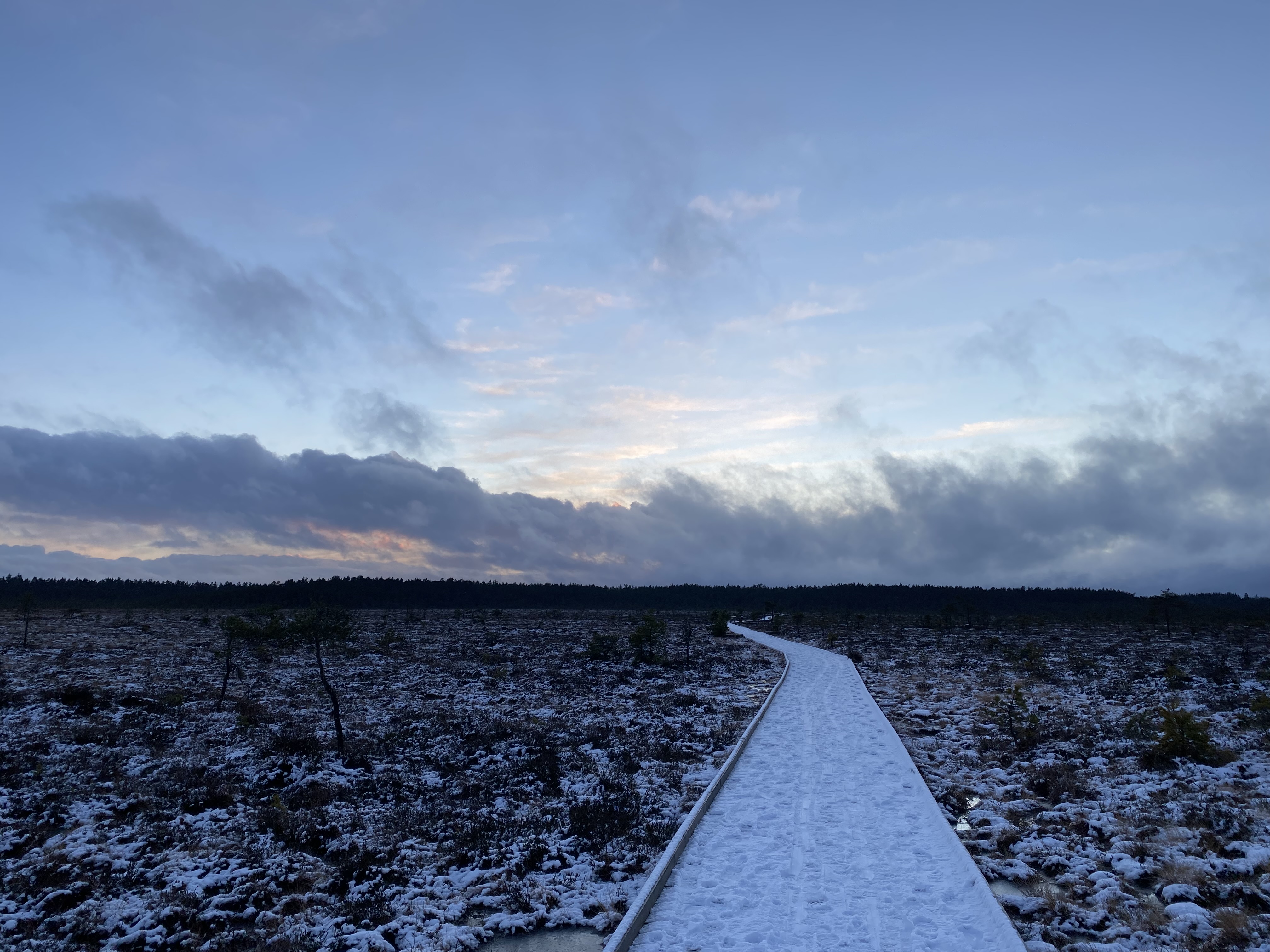 ein verschneiter Weg durch schwedische Weiten